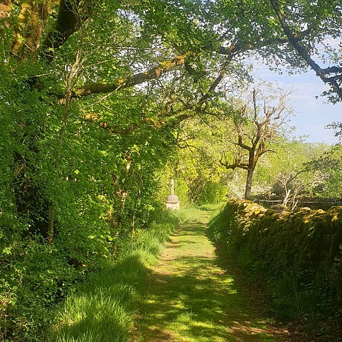En chemin sur le Causse