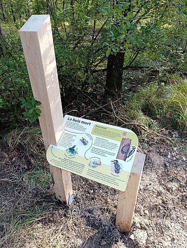 Panneau le bois mort