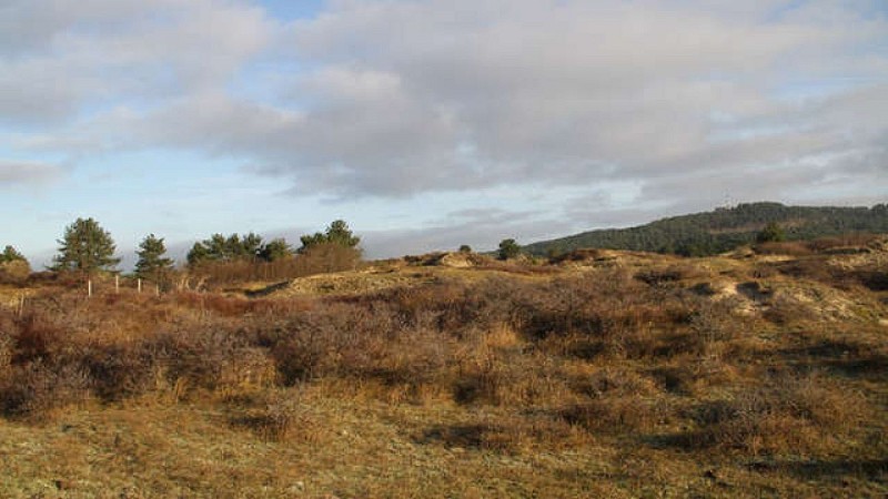 Les dunes du Mont Saint Frieux