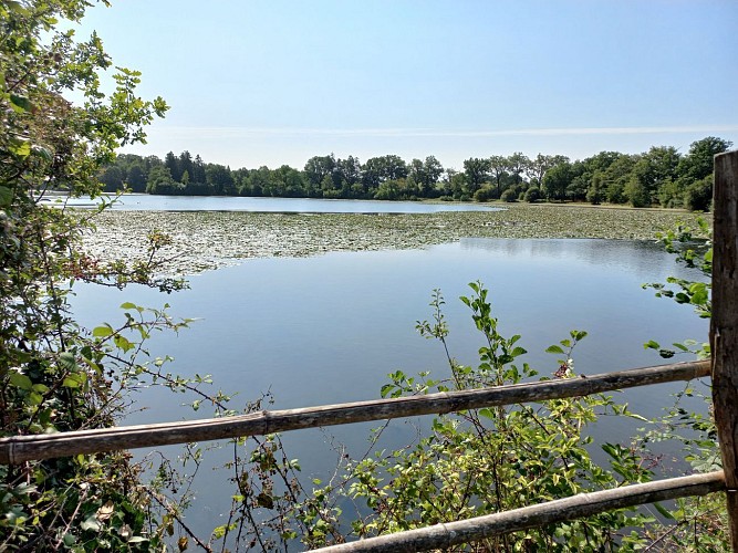 Étang de la Jarrie