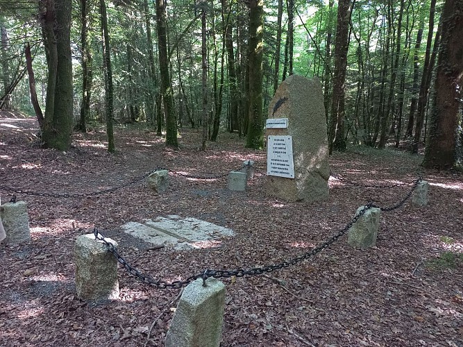 Stèle, Bois des Gâts