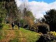 image du poi