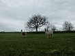 image du poi