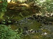 image du poi