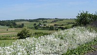 De CHALONNES-SUR-LOIRE à GENNES en 3 jours