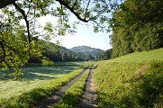 Siège Administratif de l'Office de Tourisme Vallée du Tarn & Monts de l'Albigeois