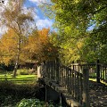 Jardin Botanique