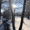 Jardin Botanique