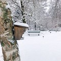 Jardin Botanique