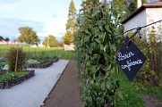 Jardin médiéval de Marguerite