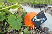 Jardin médiéval de Marguerite