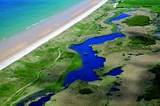 Entre mare et dunes - n°106