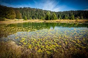 Lac Genin et ses tourbières