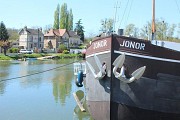 Sur les pas d'Alfred Sisley au bord du Loing