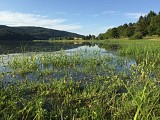 Rivière et lac Val d'Oignin