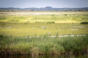 De MONTOIR-DE-BRETAGNE à SAINTE-REINE-DE-BRETAGNE en 1 jour