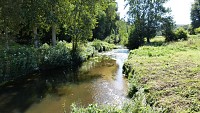 Le Lié