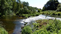 Le Lié
