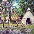 Tipi