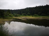 Etangs Marron