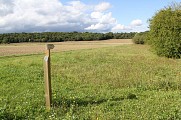 Déambulation