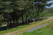 Étang du Charrais