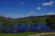 Étang du Charrais