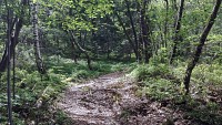Le massif des Gures et son ancien camp celtique