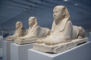 l'Allée des Sphinxs - Louvre-lens 
