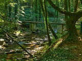 Ruisseau de Montenach