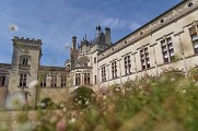 Château de Brézé