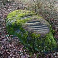Polissoir du Bois de la Grande Vente n°1