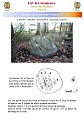 Polissoir du Bois de la Grande Vente n°2