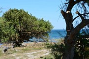 Les Maraîchers du littoral