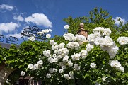 Jardins Secrets