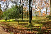 Arboretum