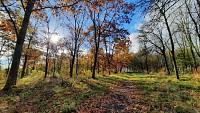 Arboretum
