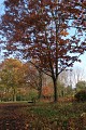 Arboretum