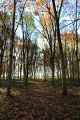 Arboretum