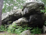 Ermenonville, une atmosphère de lande