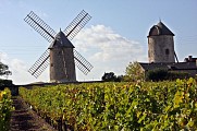 De ANGERS à CHALONNES-SUR-LOIRE en 2 jours