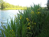Poule-les-Echarmeaux - La ligne de partage des eaux