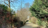 Sur les pas des peintres des bords de Marne.