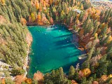 Balade du Plateau d'Assy au Lac Vert par la passerelle du Nant Bordon
