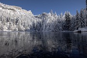 Balade du Plateau d'Assy au Lac Vert par la passerelle du Nant Bordon