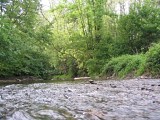 Au fil de l'eau