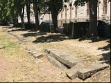 Square de l’Avenue du Peuple Belge, face à l’IAE