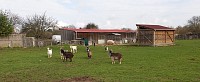 GRP94 - Les Espaces Naturels Sensibles en Val de Marne