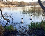 Les marais du Warndt