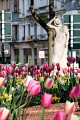Square Joubert